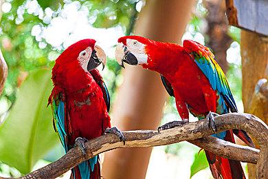 《街头霸王6》12月2日迎来平衡调整 所有角色均有改动